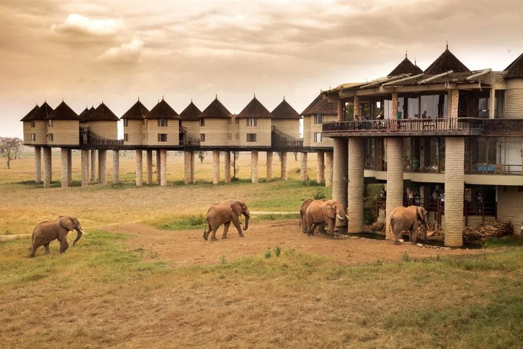Salt Lick Game Lodge
