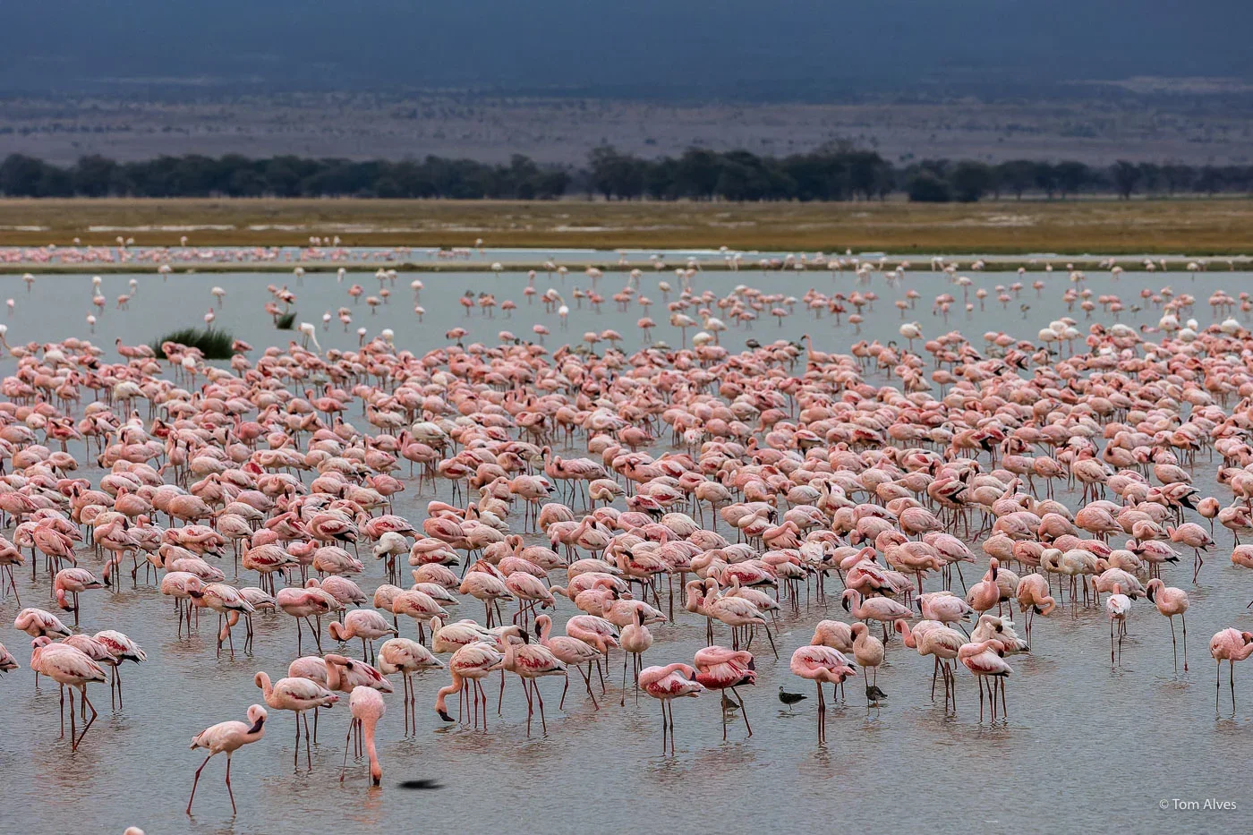 Bootssafari am Baringo-See