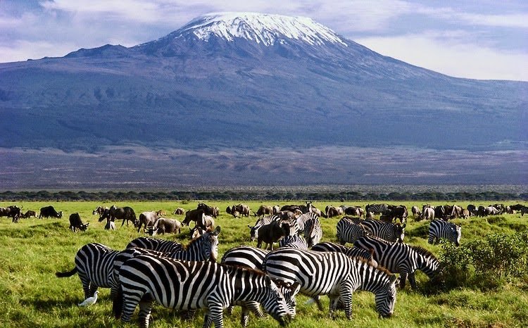 Amboseli Nationalpark