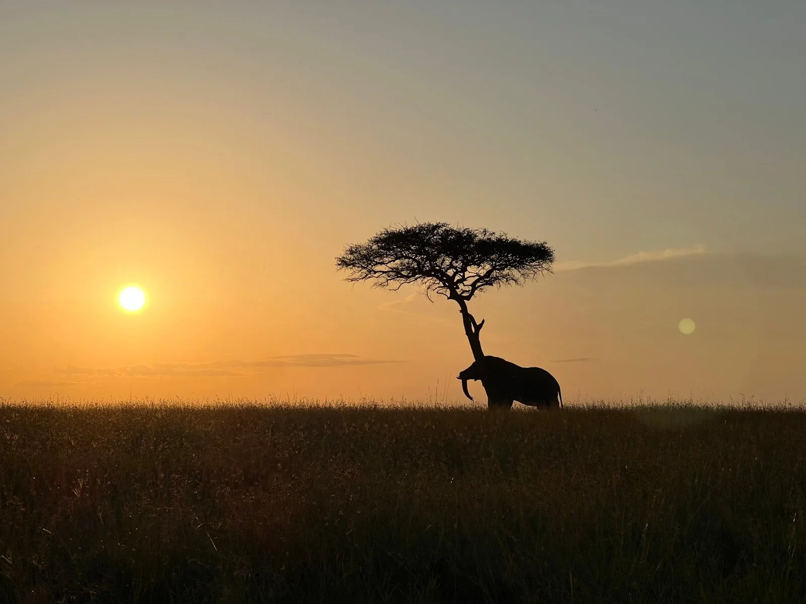 Maasai Mara Landschaft