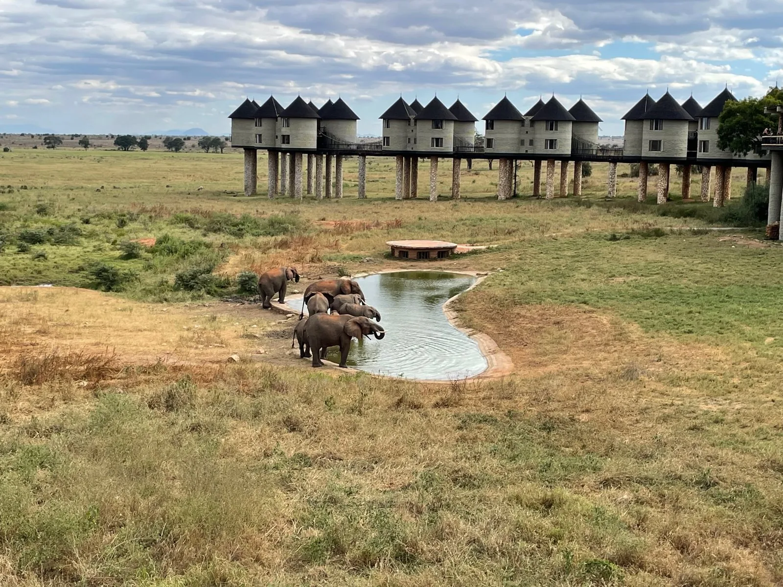 Salt Lick Game Lodge