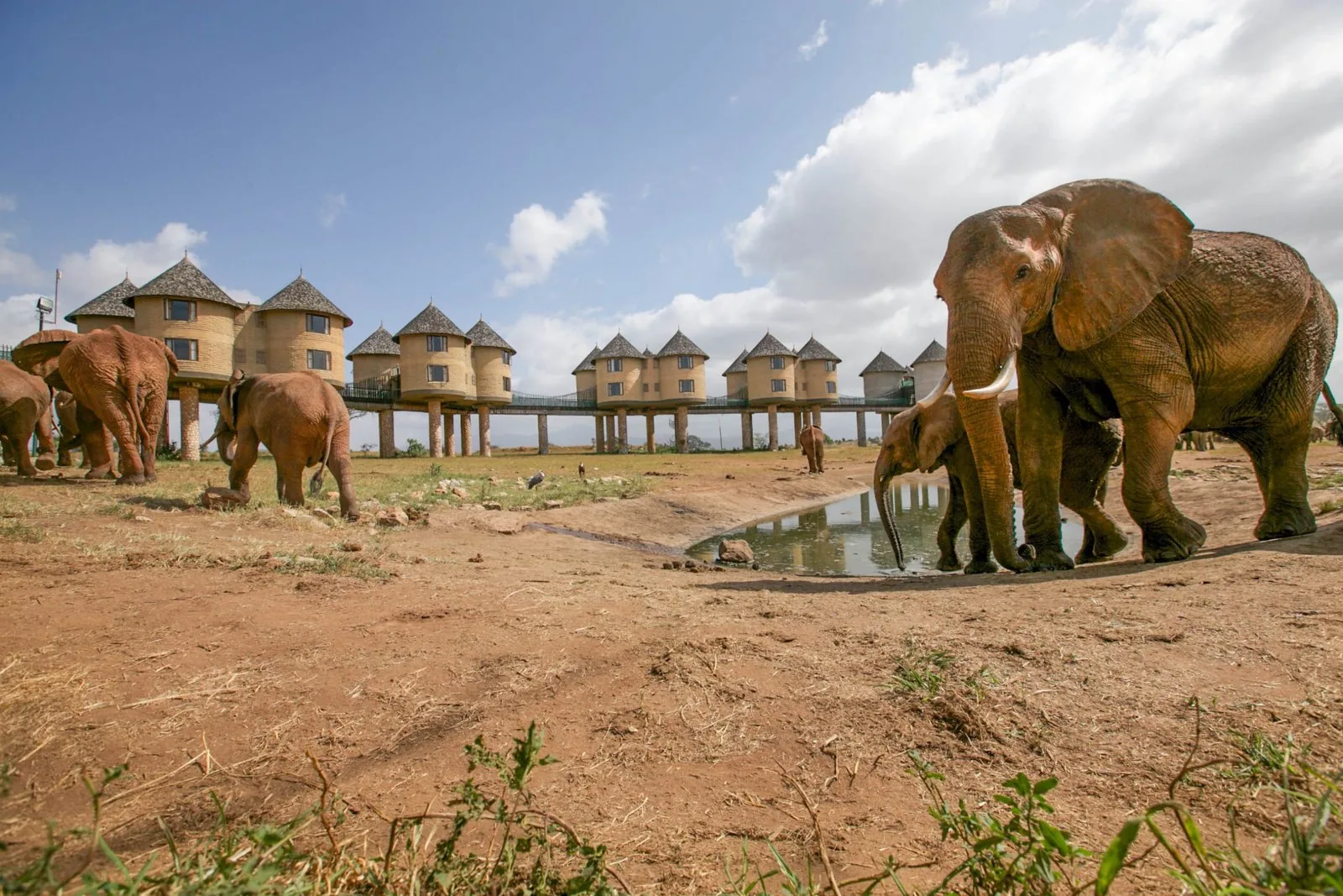 Salt Lick Game Lodge
