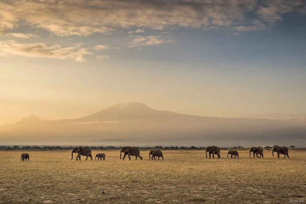 Amboseli Nationalpark