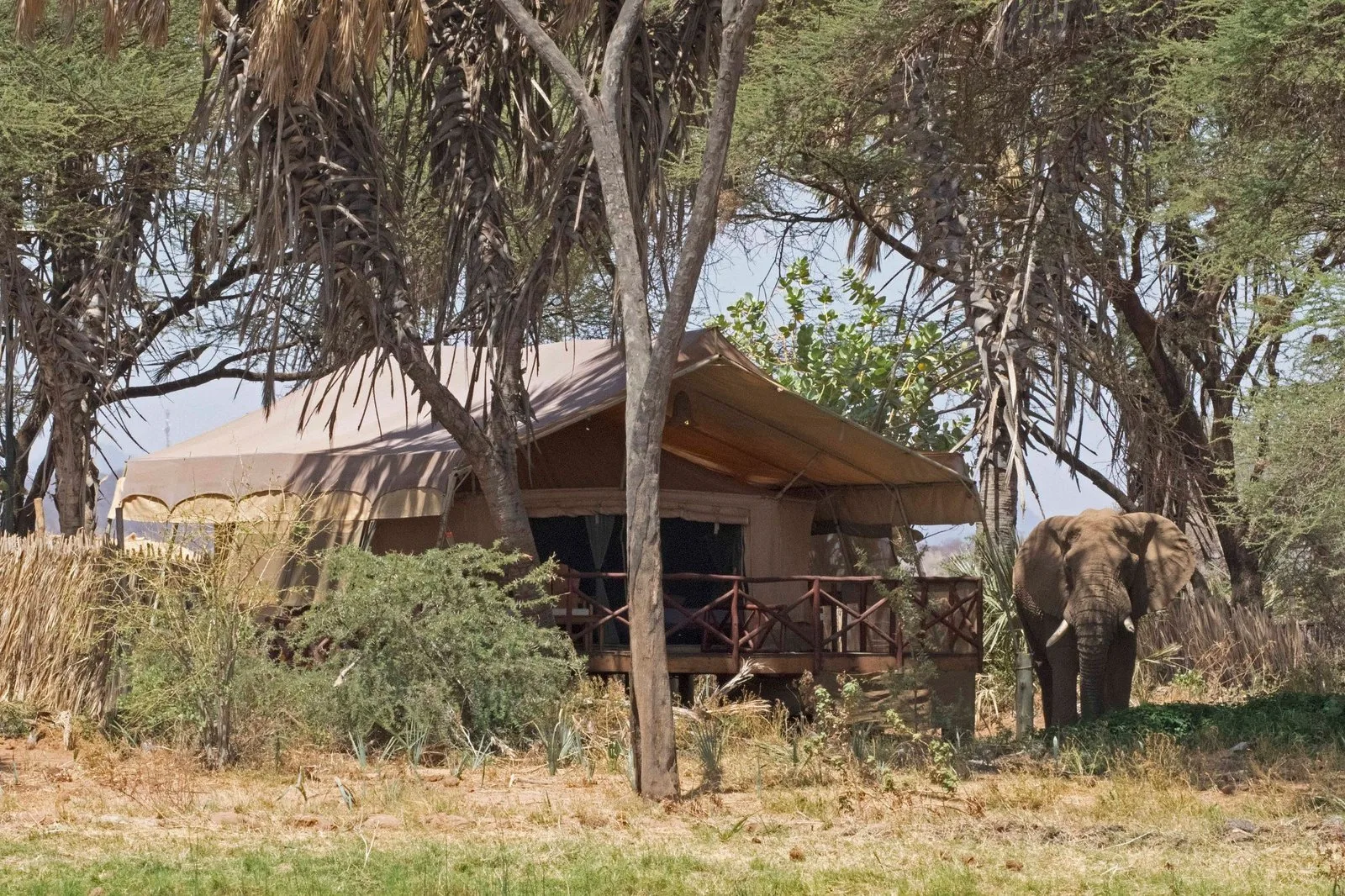 Elephant Bedroom Camp