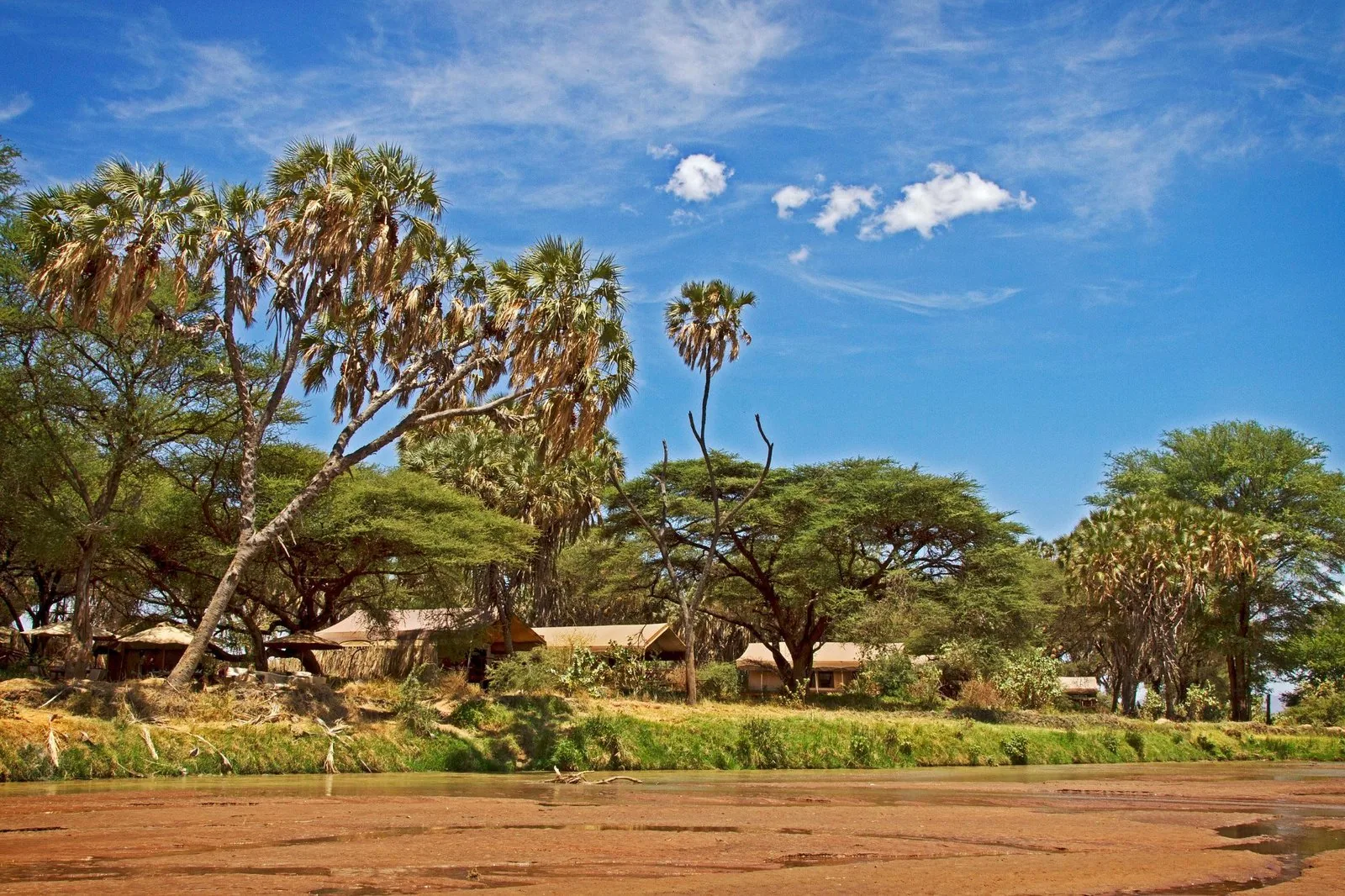 Elephant Bedroom Camp