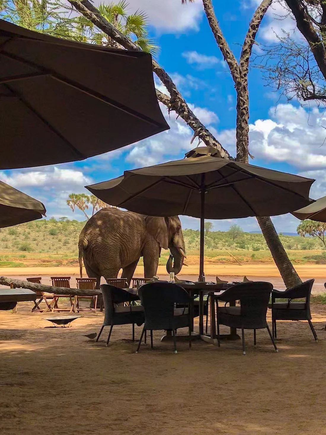 Elephant Bedroom Camp
