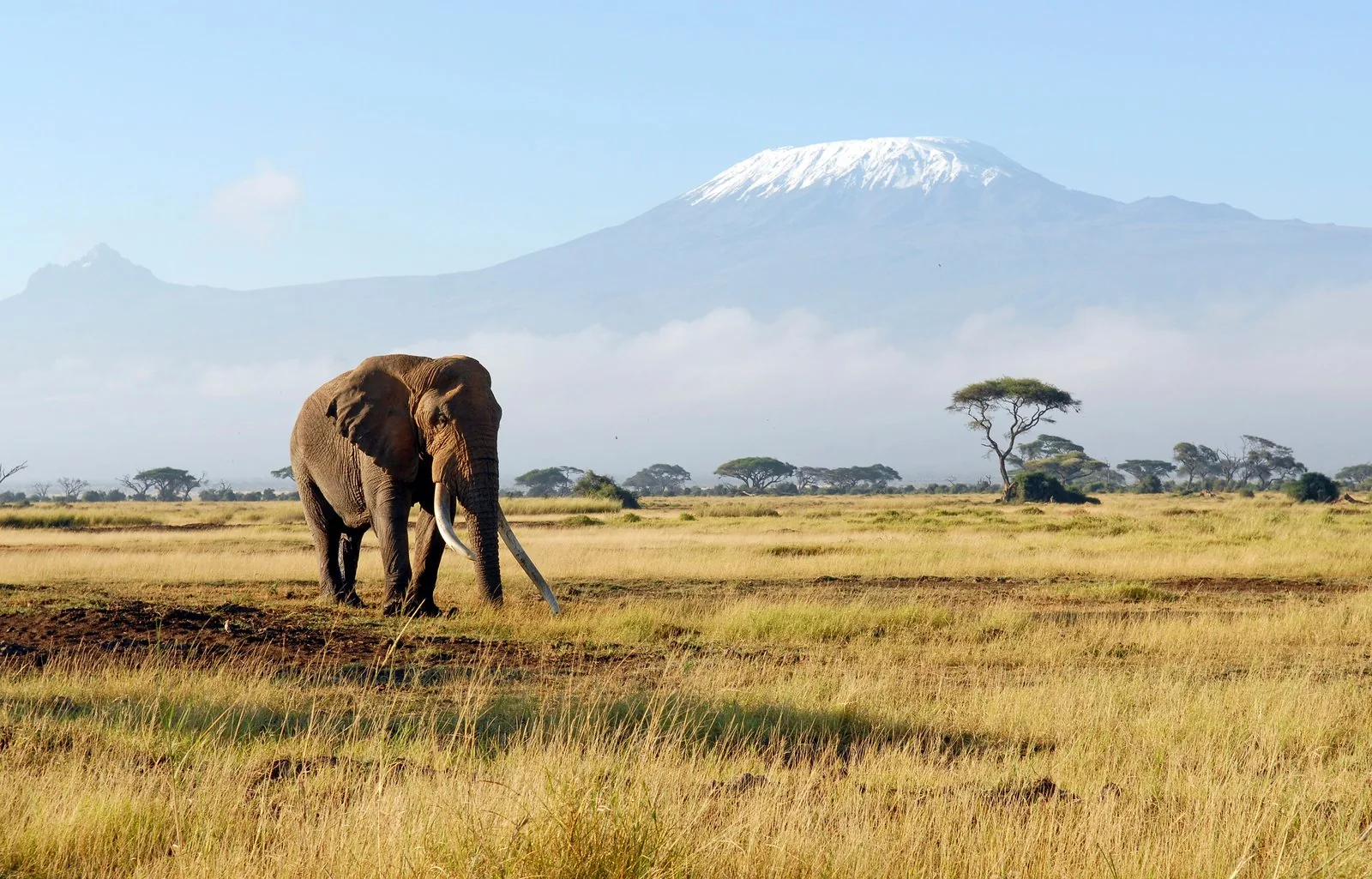 Reiseziele in Kenia