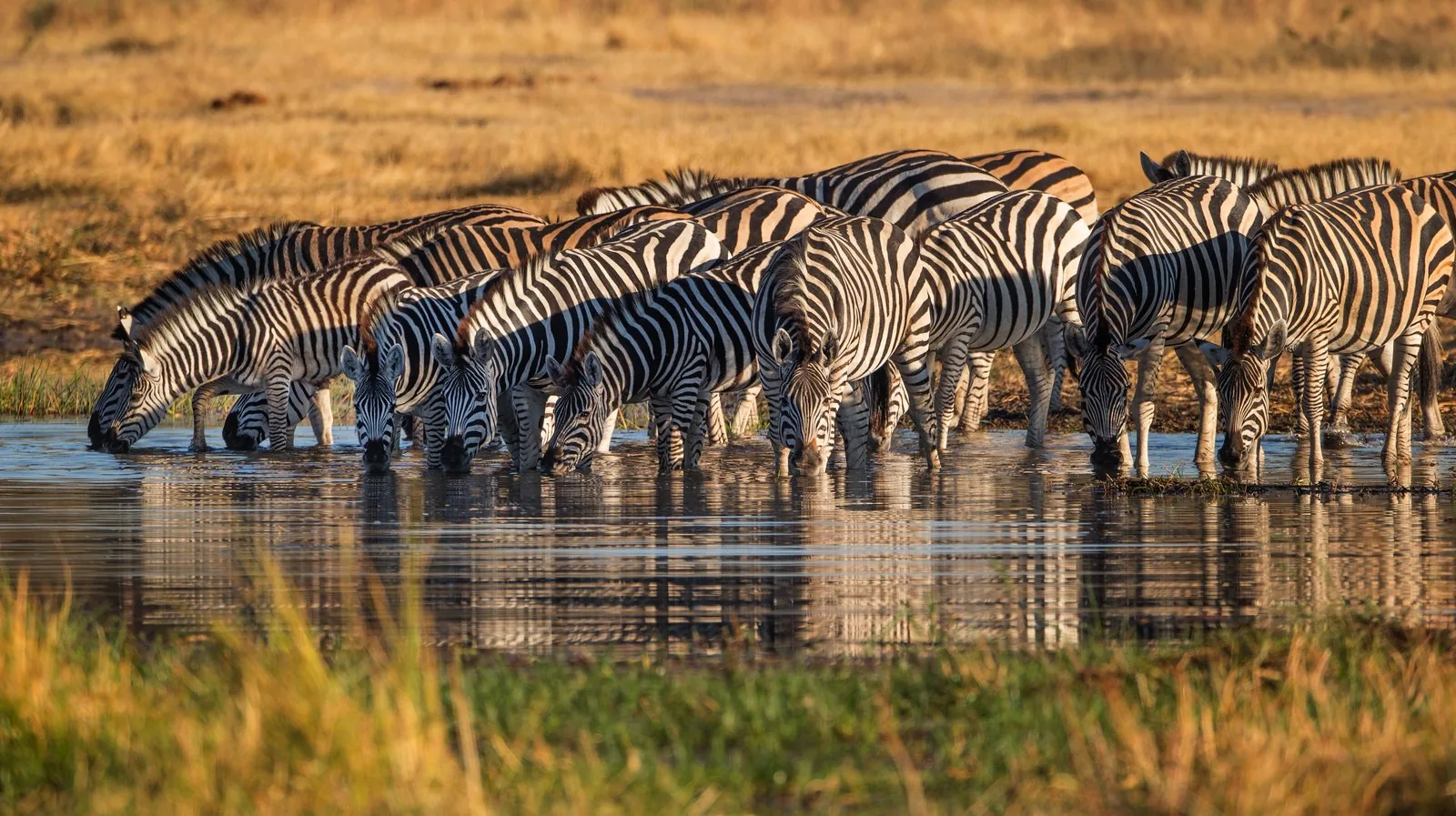 Maasai Mara