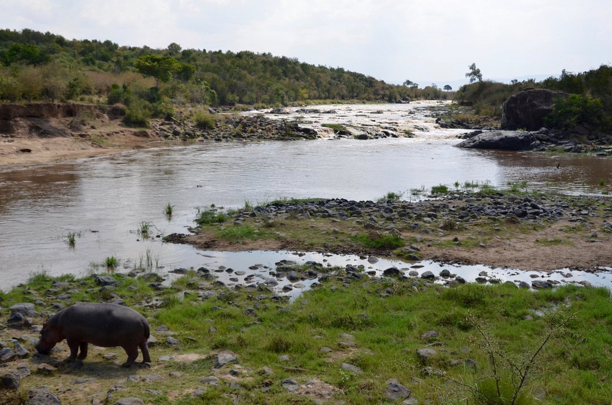 Mara Crossings Camp Zeltsuite